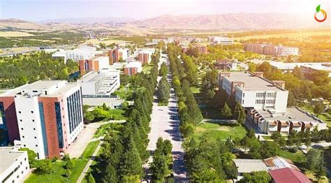İ­n­ö­n­ü­ ­Ü­n­i­v­e­r­s­i­t­e­s­i­ ­2­0­2­2­ ­T­a­b­a­n­ ­P­u­a­n­l­a­r­ı­ ­v­e­ ­B­a­ş­a­r­ı­ ­S­ı­r­a­l­a­m­a­s­ı­